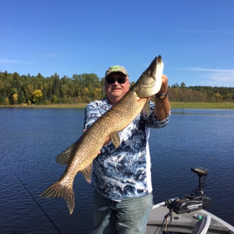man holding a northern pike  in hayward, wisconsin